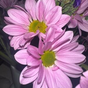 5/$30 entire closet! Send offer for $30 and I’ll accept :))